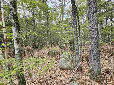 101-15 North Shore Road New Durham NH 03855