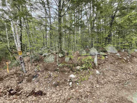 101-15 North Shore Road New Durham NH 03855