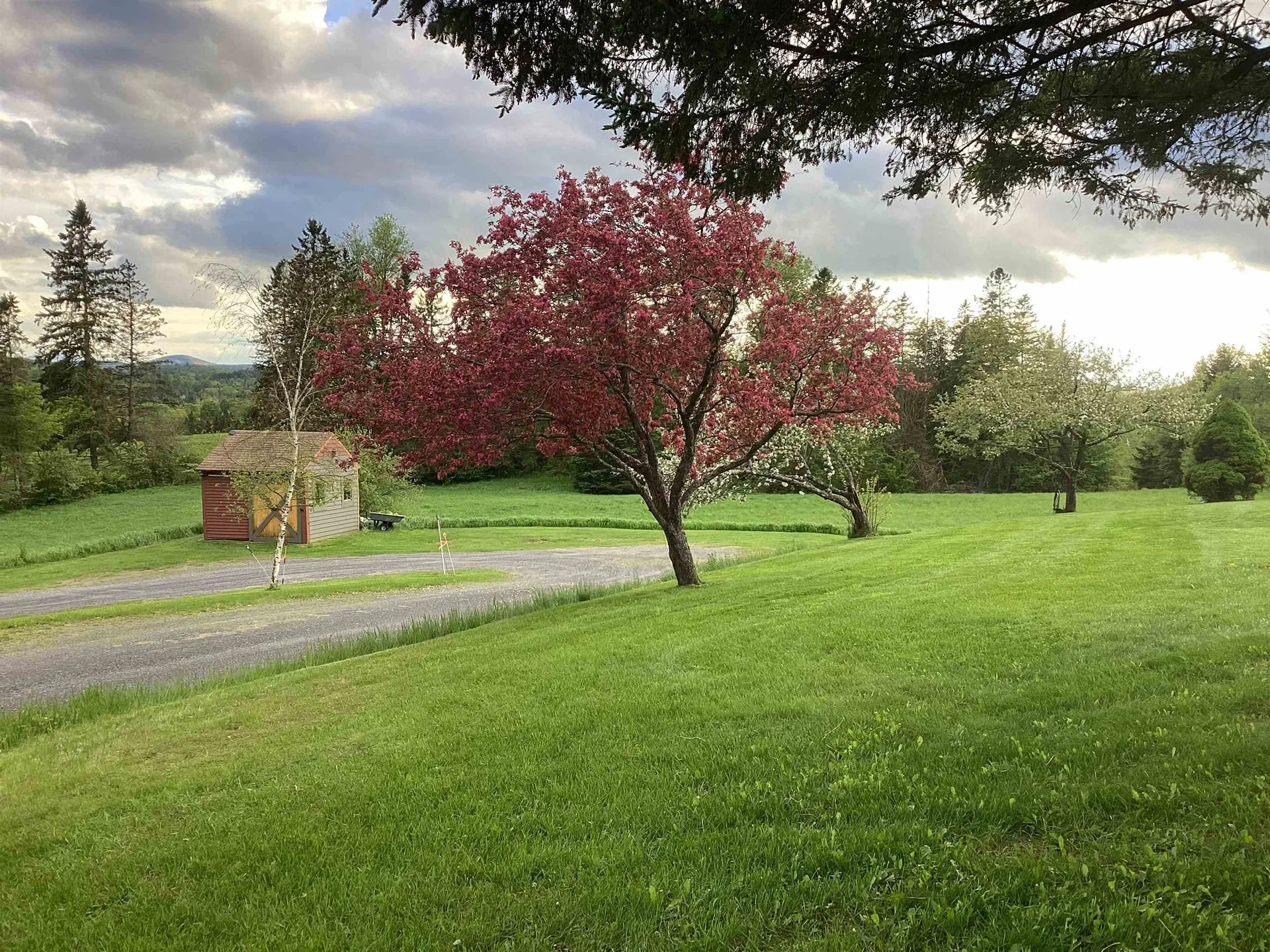 238 Greenbanks Hollow Road Danville VT 05828
