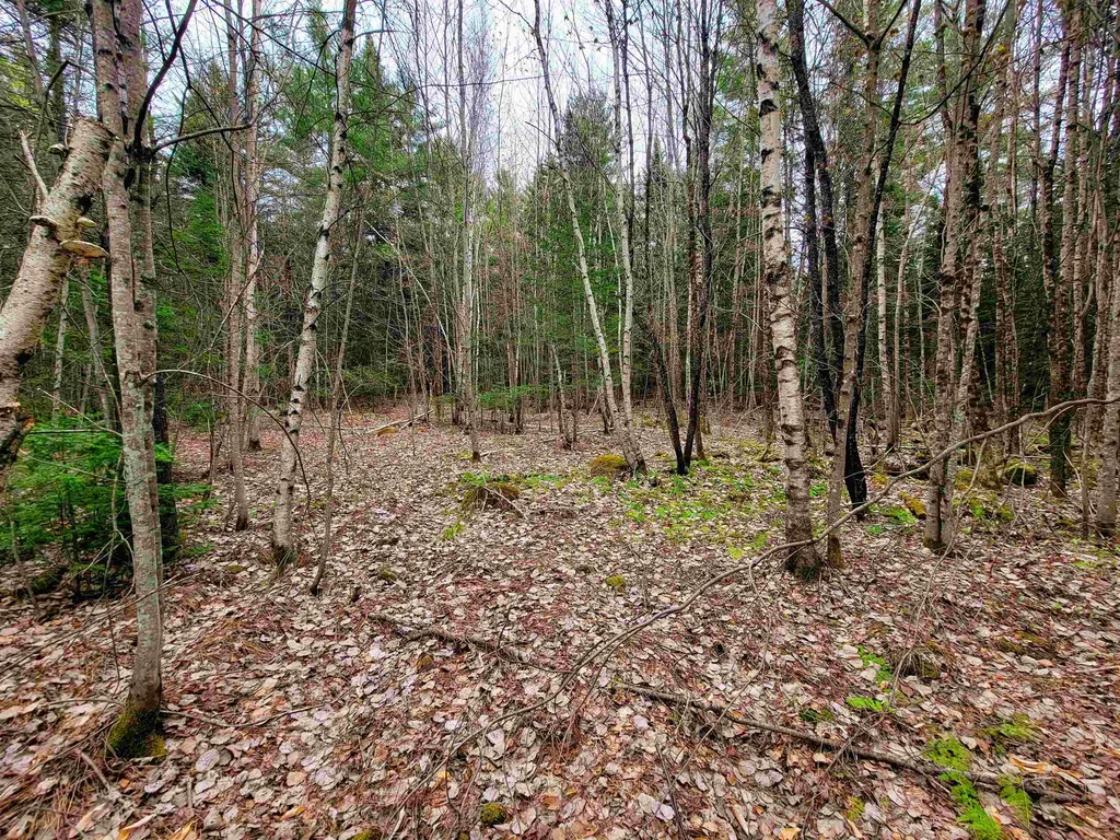280 Guyette Road Marshfield VT 05658