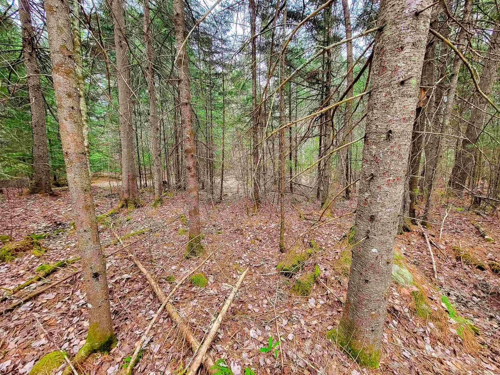 280 Guyette Road Marshfield VT 05658