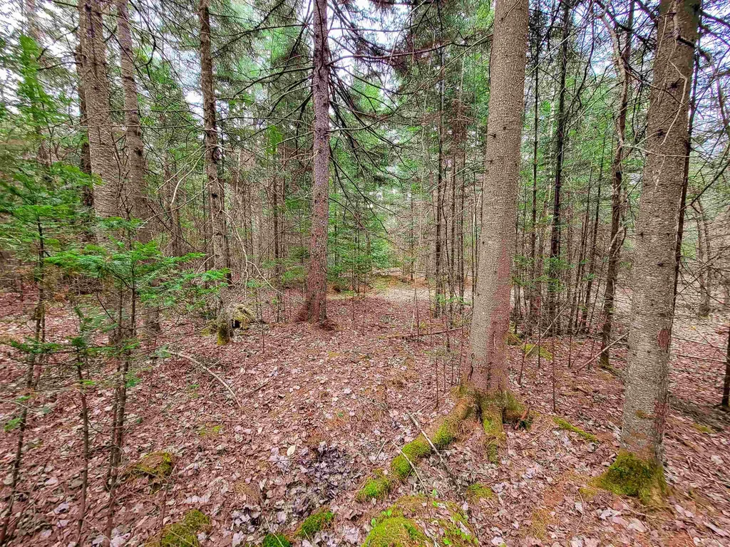 280 Guyette Road Marshfield VT 05658