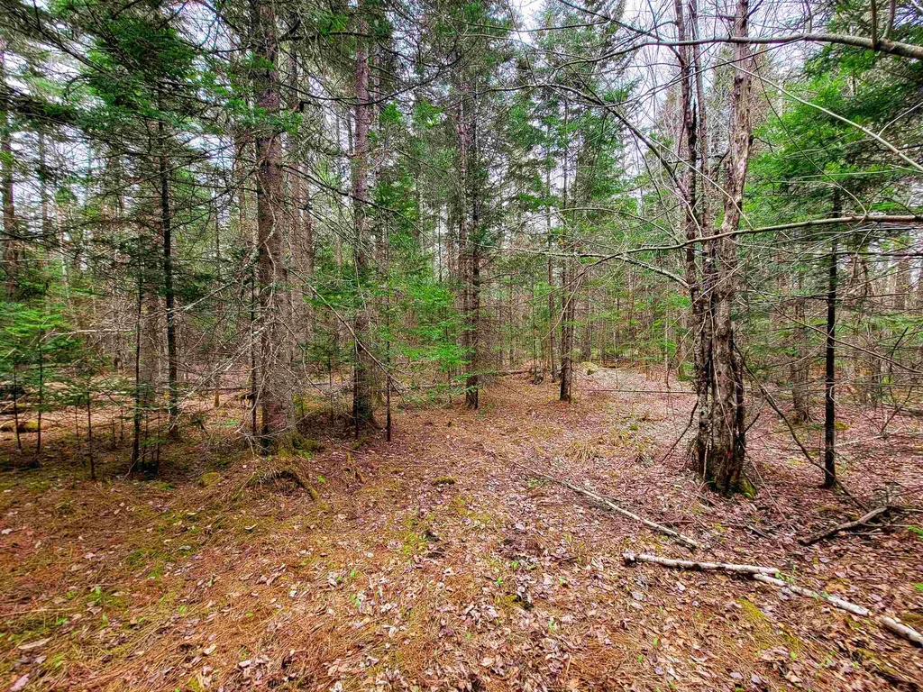 280 Guyette Road Marshfield VT 05658