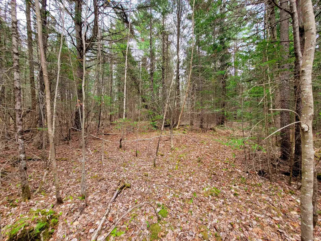 280 Guyette Road Marshfield VT 05658