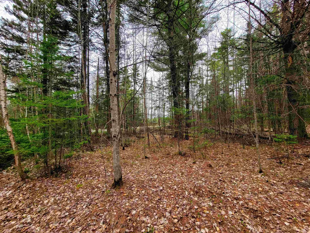 280 Guyette Road Marshfield VT 05658