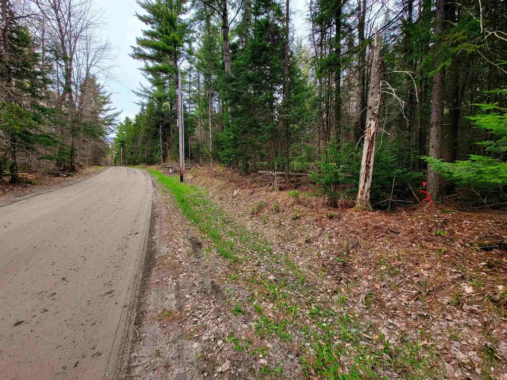 280 Guyette Road Marshfield VT 05658