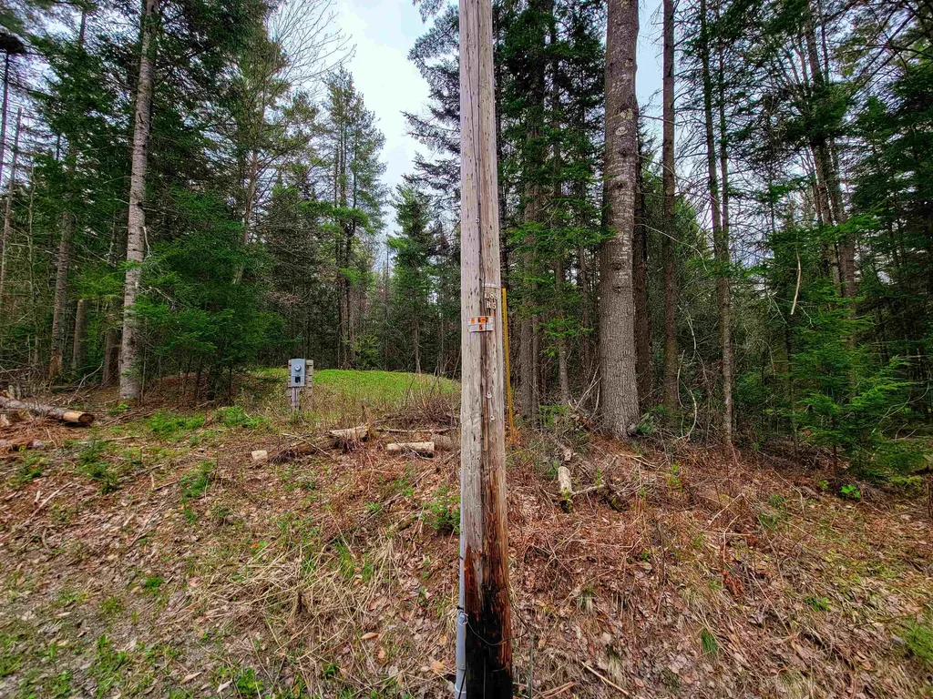 280 Guyette Road Marshfield VT 05658