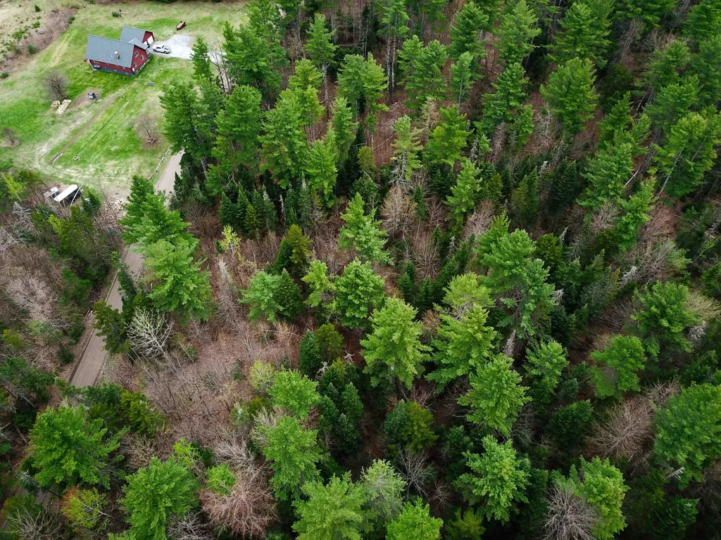 280 Guyette Road Marshfield VT 05658