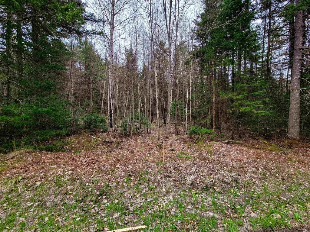 280 Guyette Road Marshfield VT 05658