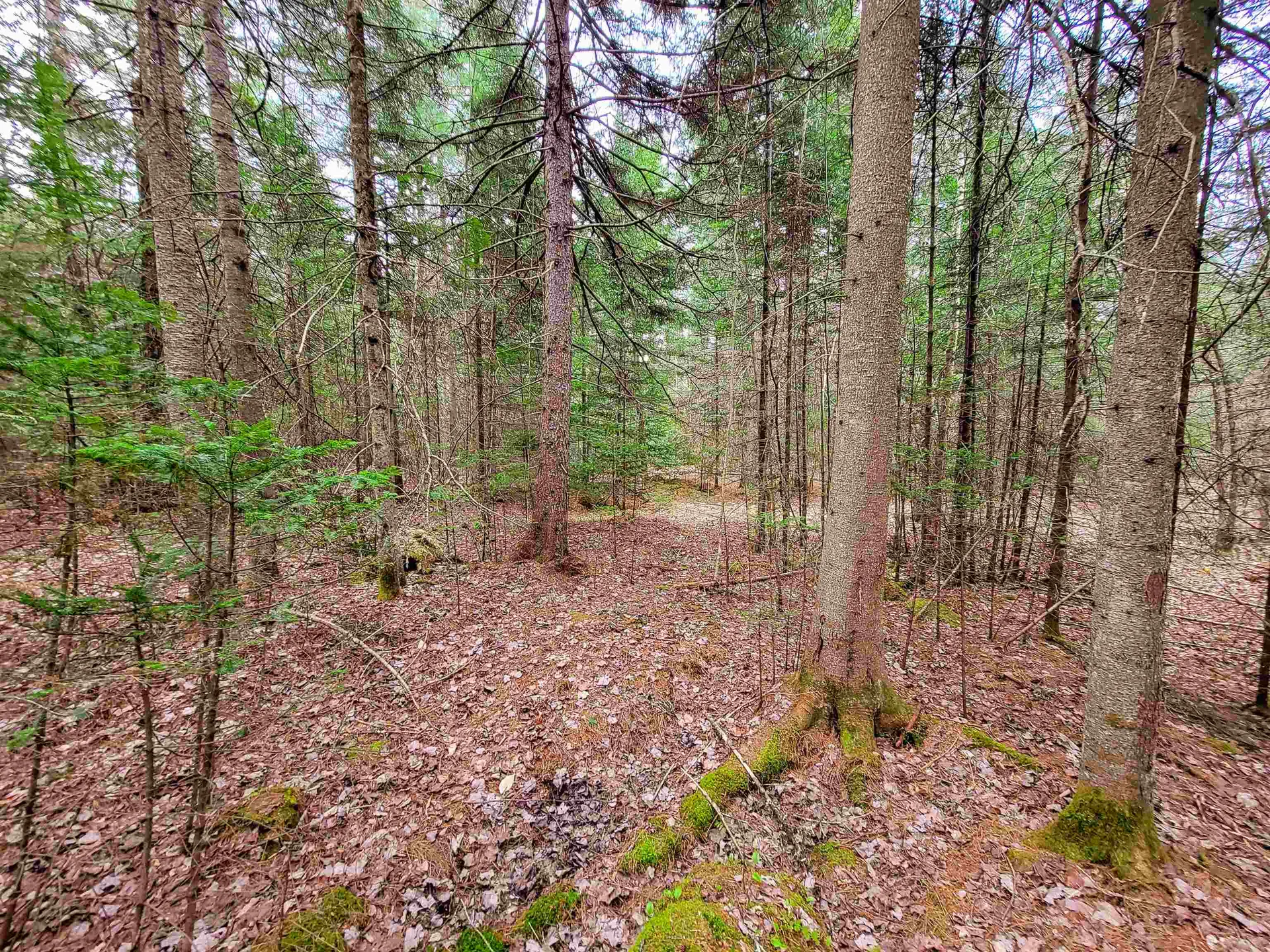 280 Guyette Road Marshfield VT 05658