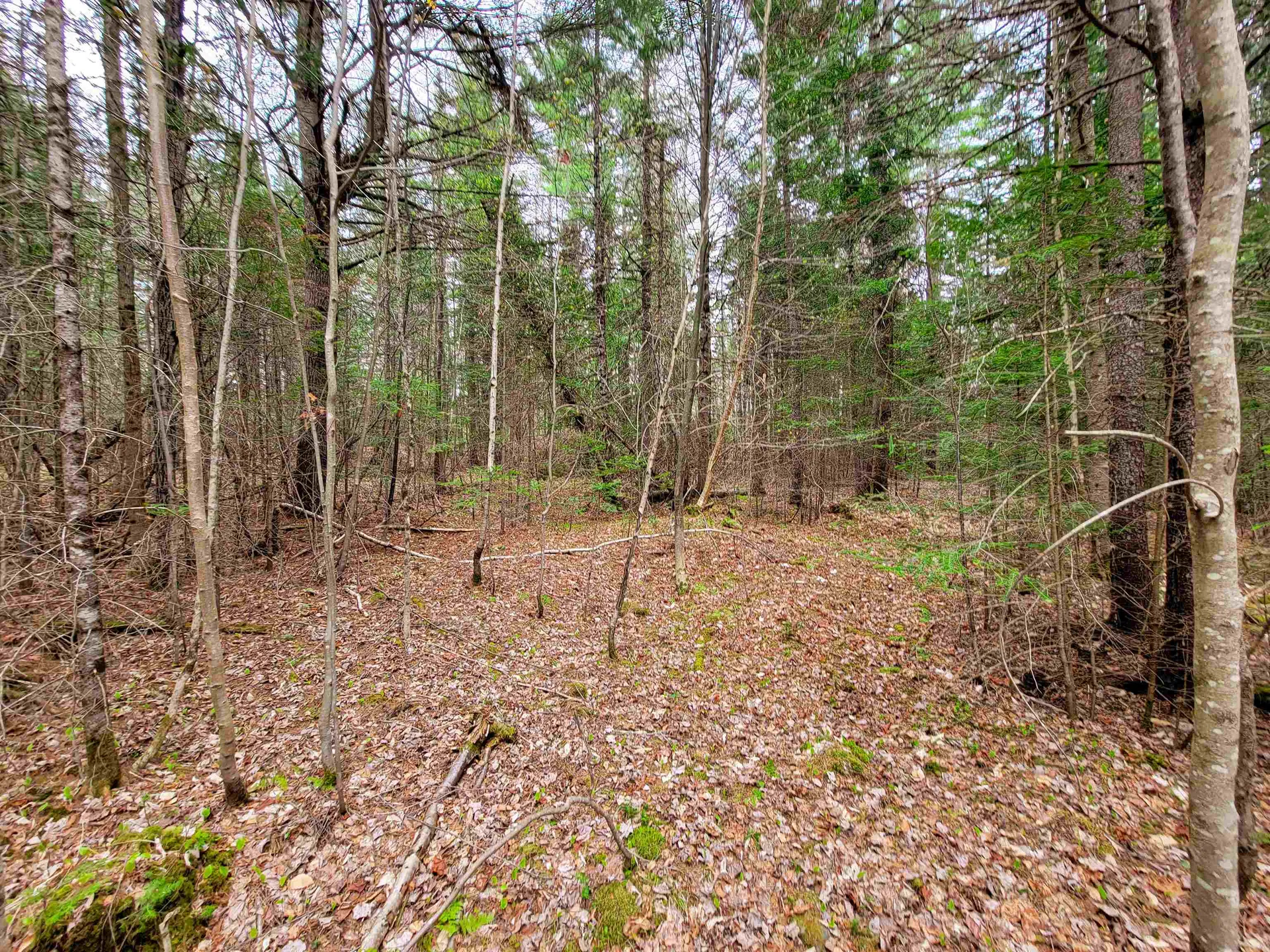 280 Guyette Road Marshfield VT 05658