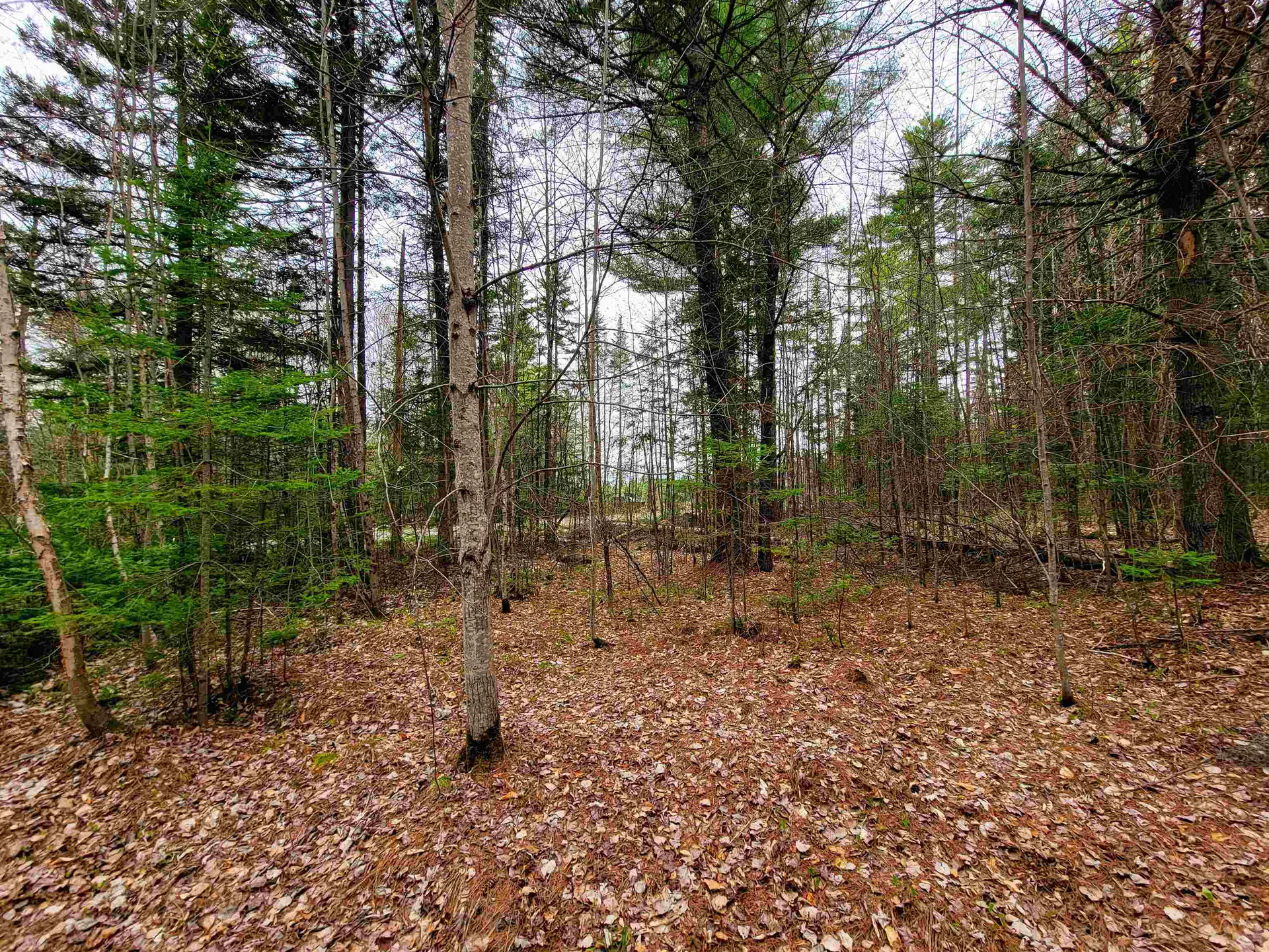 280 Guyette Road Marshfield VT 05658