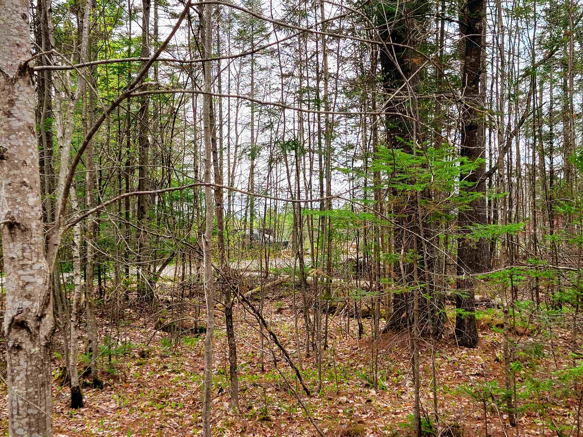 280 Guyette Road Marshfield VT 05658