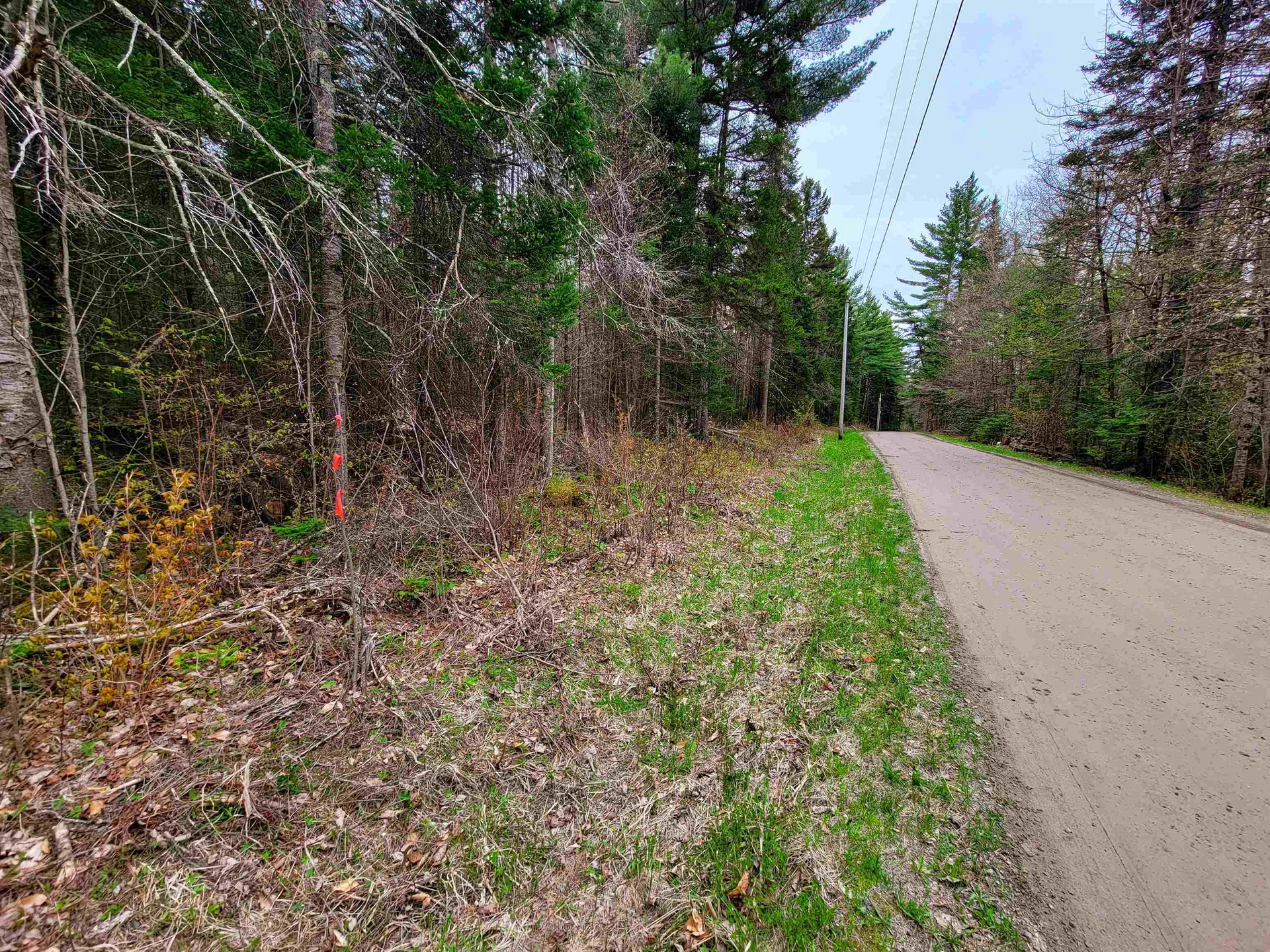 280 Guyette Road Marshfield VT 05658