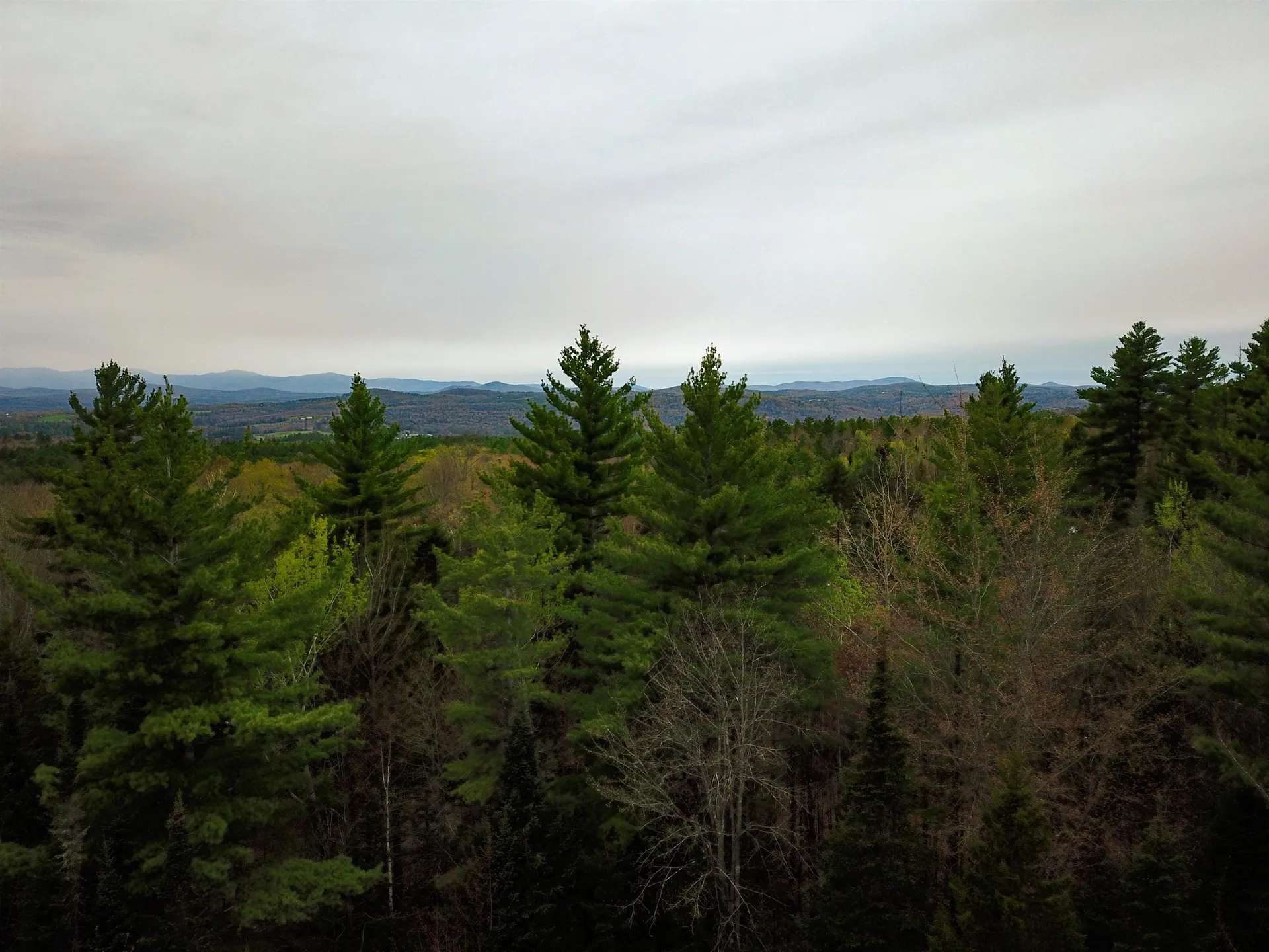 280 Guyette Road Marshfield VT 05658