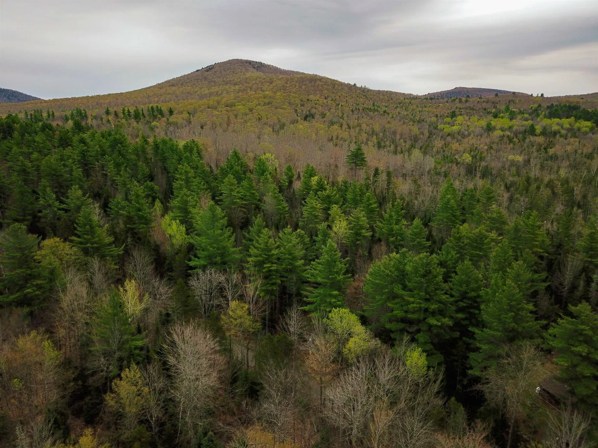 280 Guyette Road Marshfield VT 05658