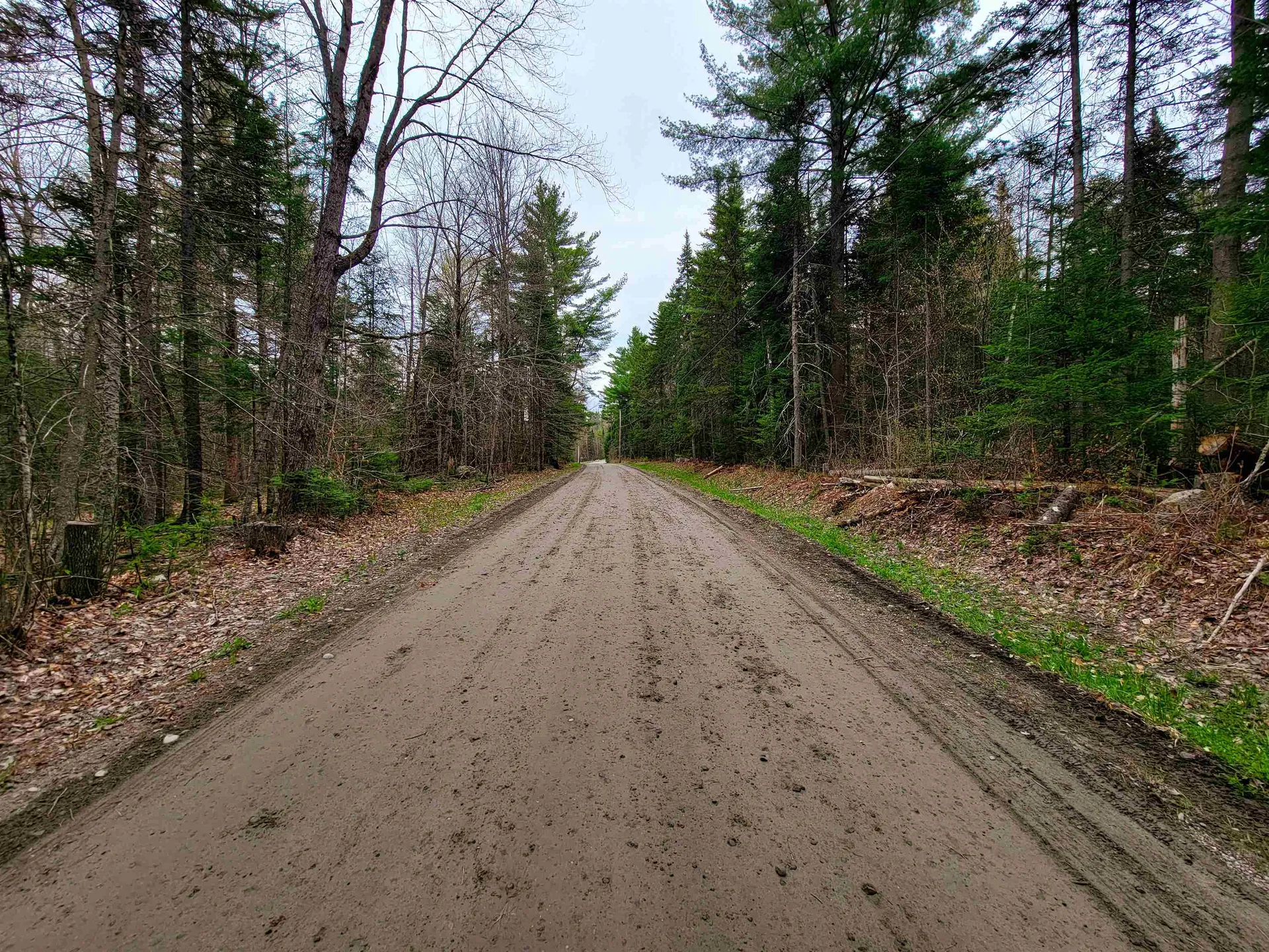 280 Guyette Road Marshfield VT 05658