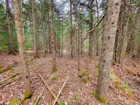 280 Guyette Road Marshfield VT 05658