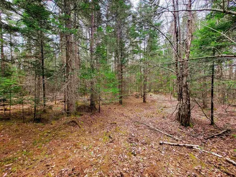 280 Guyette Road Marshfield VT 05658