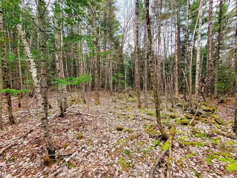 280 Guyette Road Marshfield VT 05658