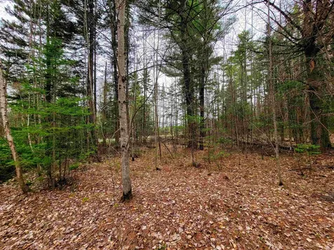280 Guyette Road Marshfield VT 05658