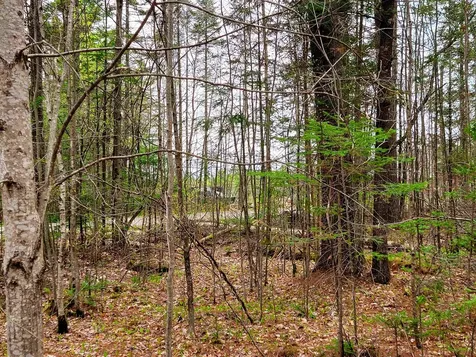 280 Guyette Road Marshfield VT 05658