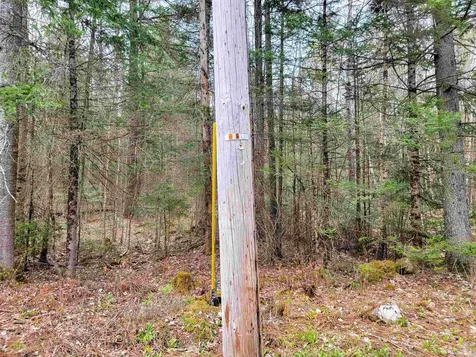 280 Guyette Road Marshfield VT 05658