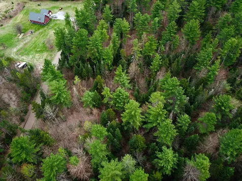 280 Guyette Road Marshfield VT 05658