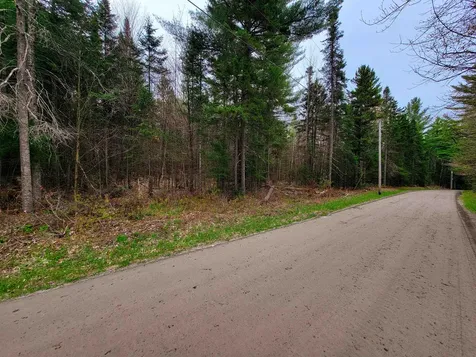 280 Guyette Road Marshfield VT 05658