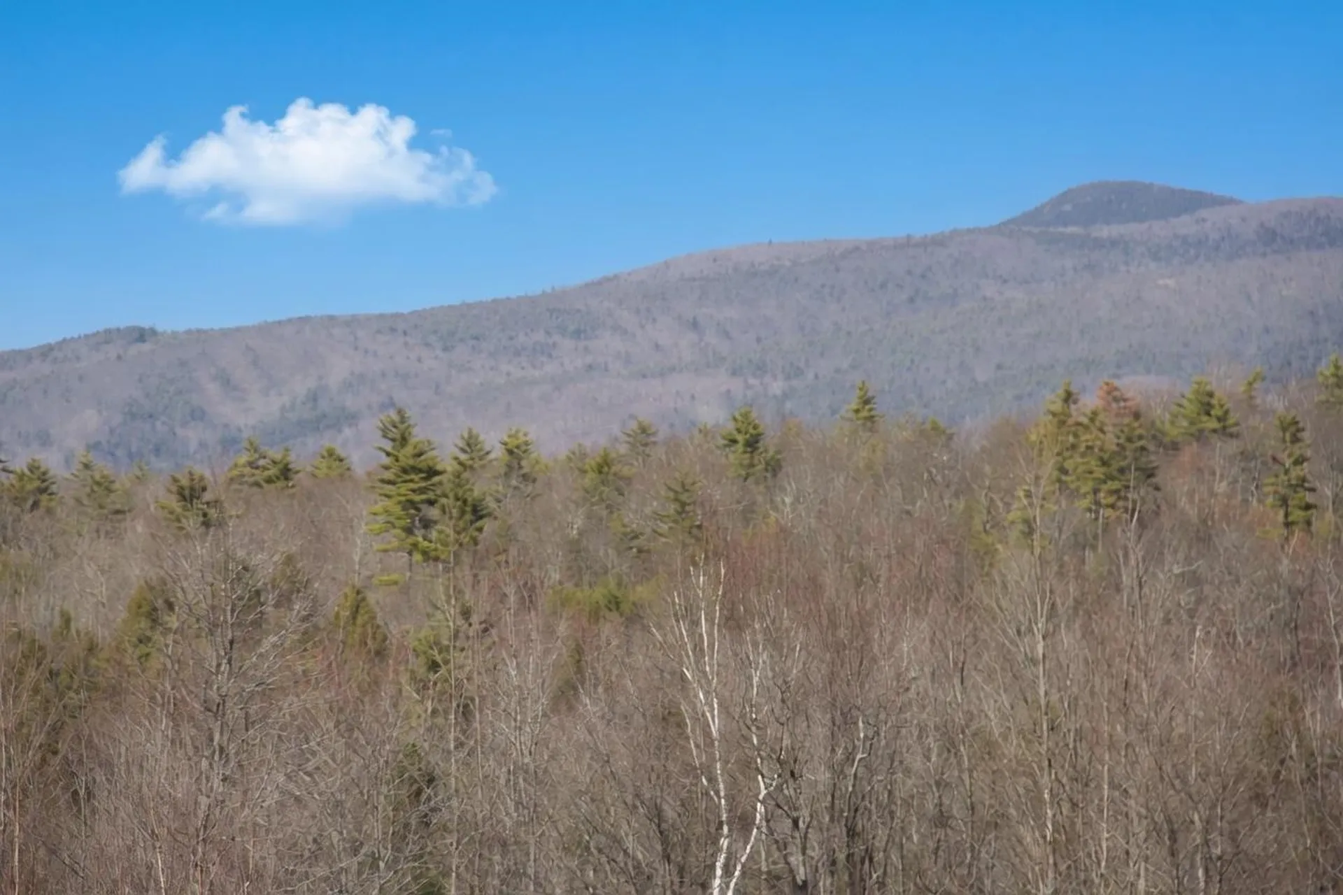 2.3 Moultonboro Neck Road Moultonborough NH 03254