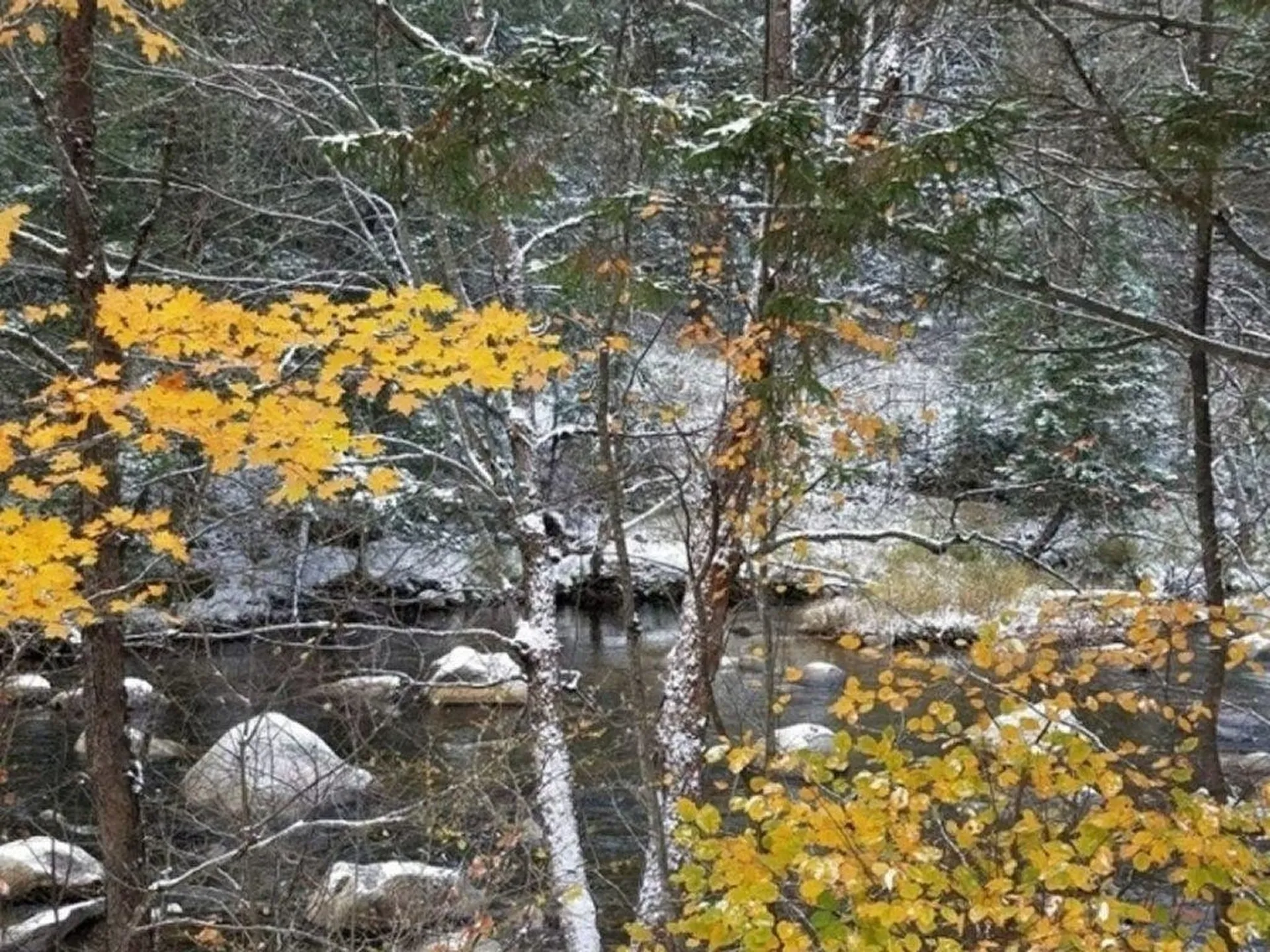 5 Wing Road Bethlehem NH 03574
