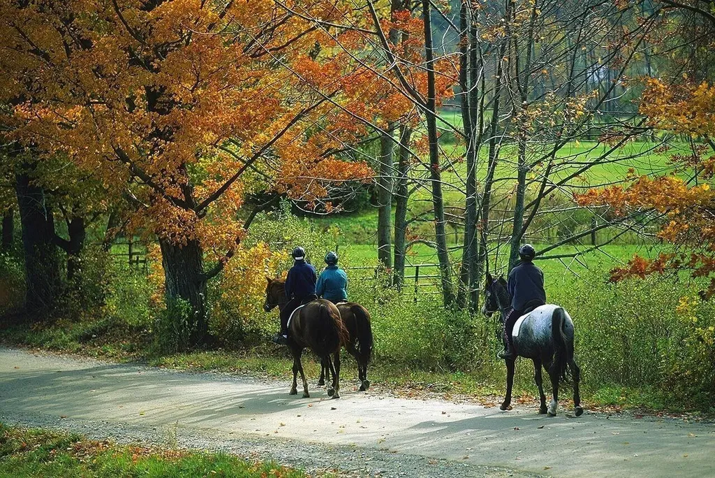 2358 Long Hill Road Woodstock VT 05091