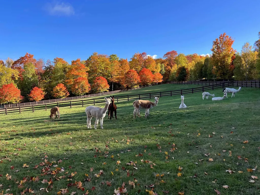 2358 Long Hill Road Woodstock VT 05091