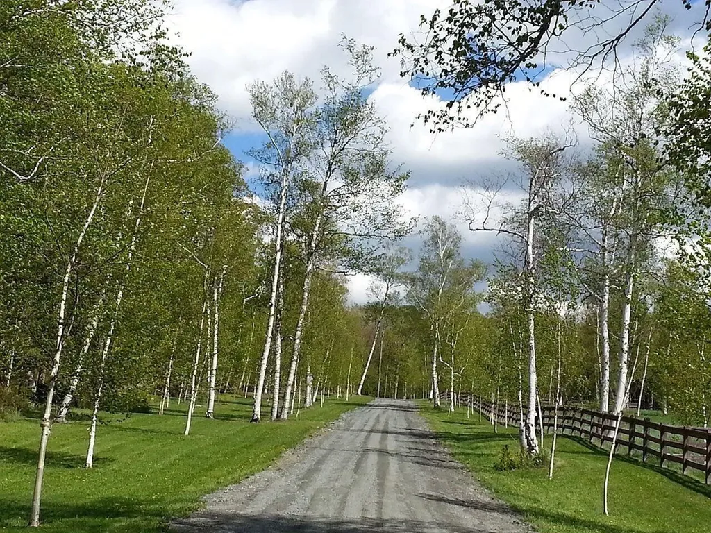 2358 Long Hill Road Woodstock VT 05091