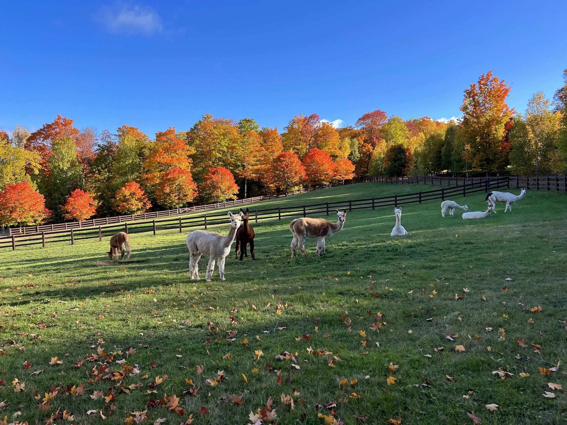 2358 Long Hill Road Woodstock VT 05091