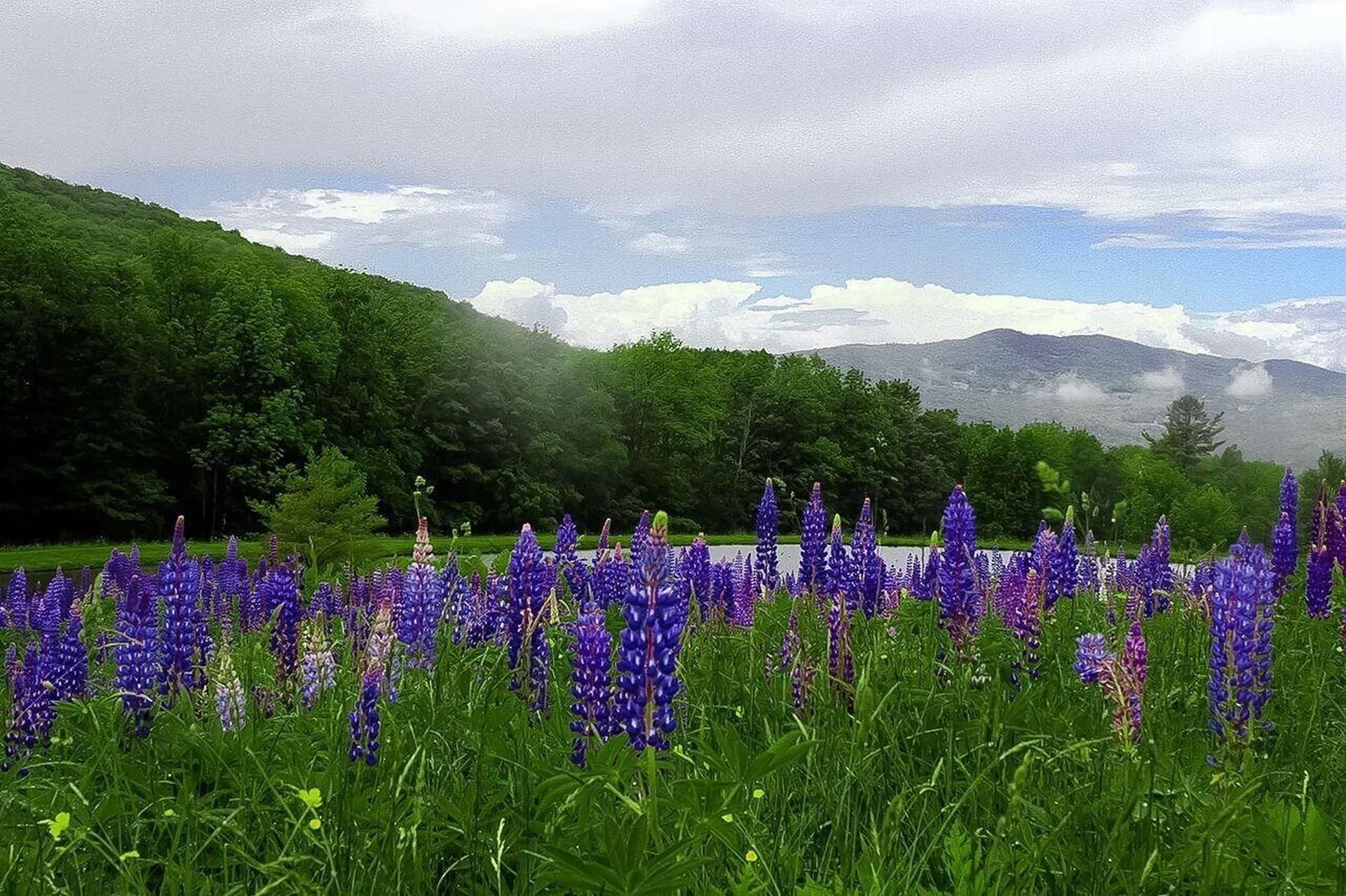 2358 Long Hill Road Woodstock VT 05091