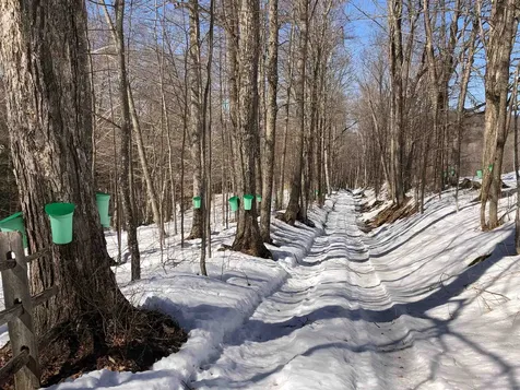 2358 Long Hill Road Woodstock VT 05091
