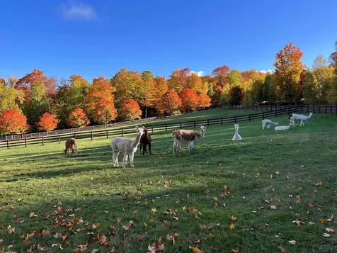 2358 Long Hill Road Woodstock VT 05091