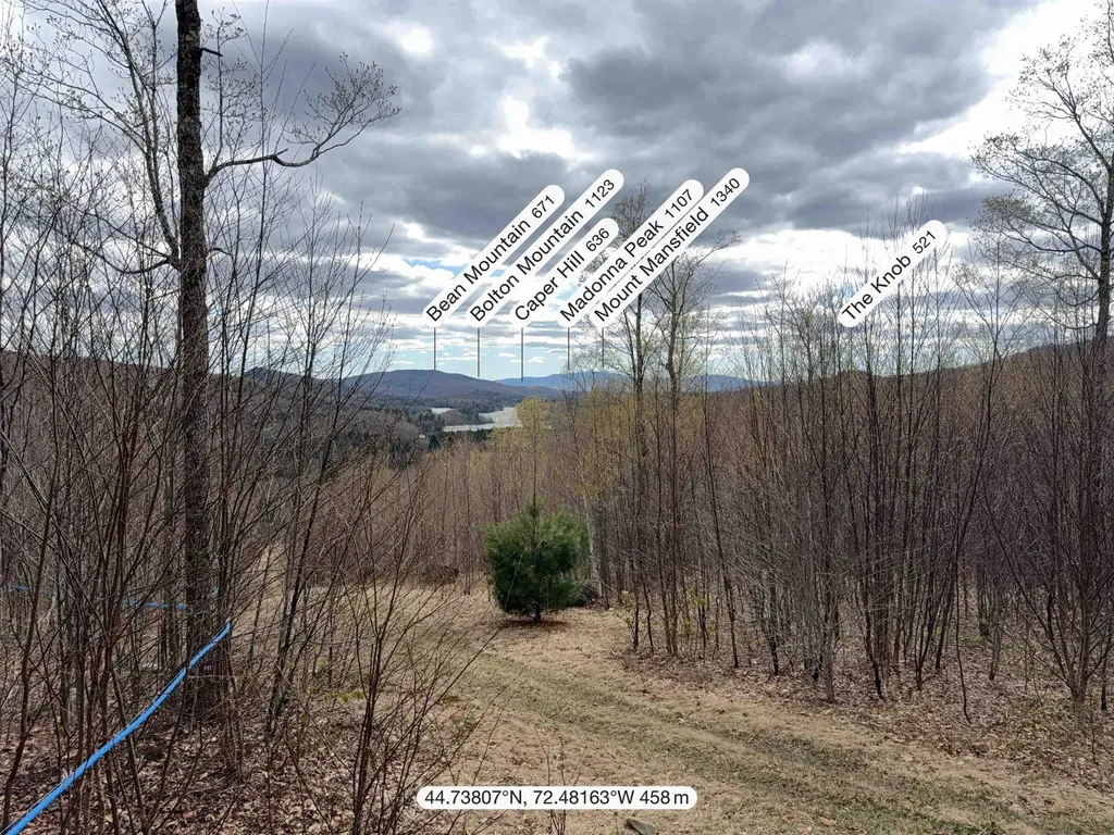 6539 Vt Route 100 Eden VT 05653