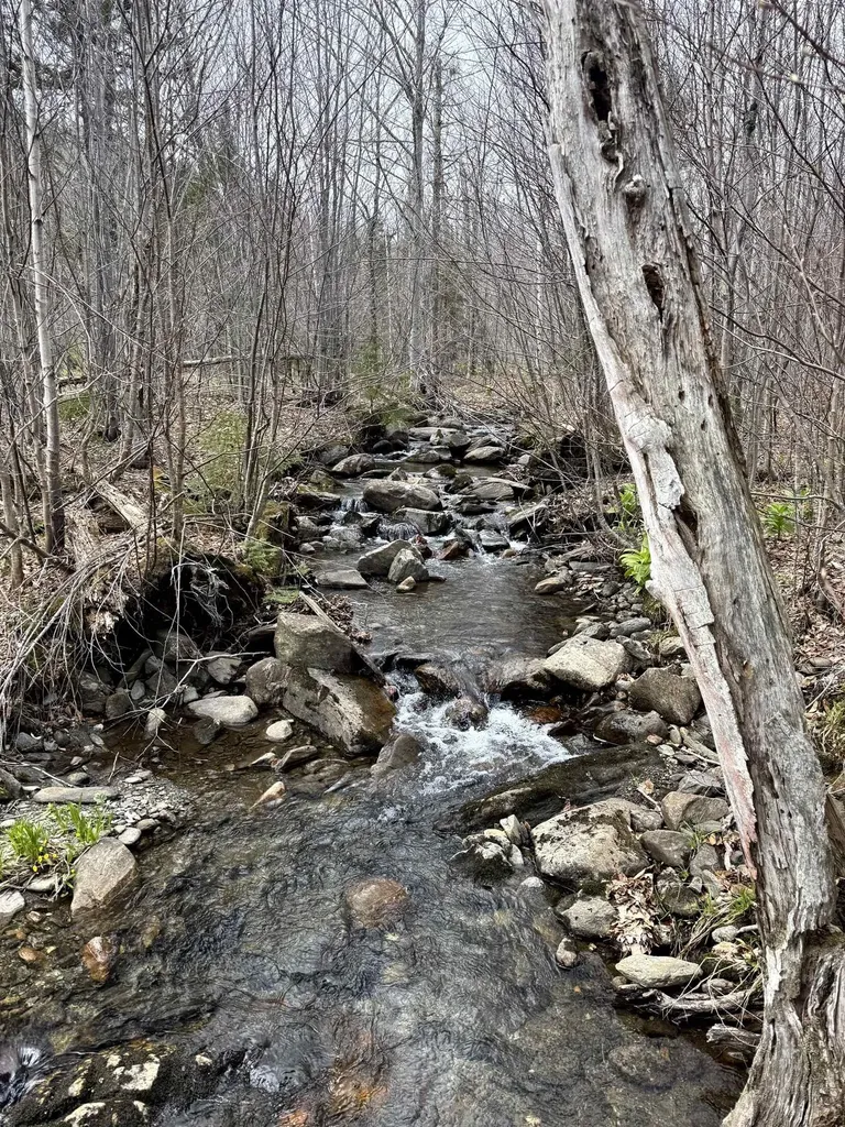 6539 Vt Route 100 Eden VT 05653