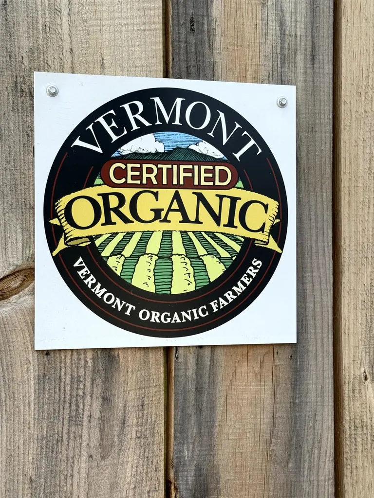 6539 Vt Route 100 Eden VT 05653