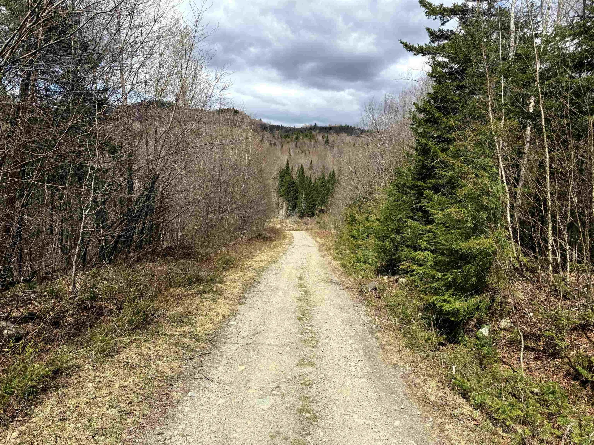 6539 Vt Route 100 Eden VT 05653