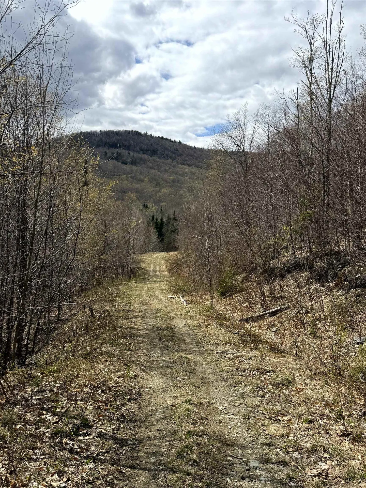 6539 Vt Route 100 Eden VT 05653