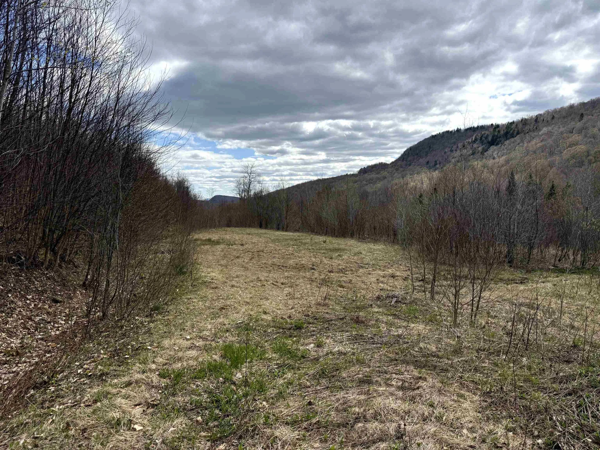 6539 Vt Route 100 Eden VT 05653