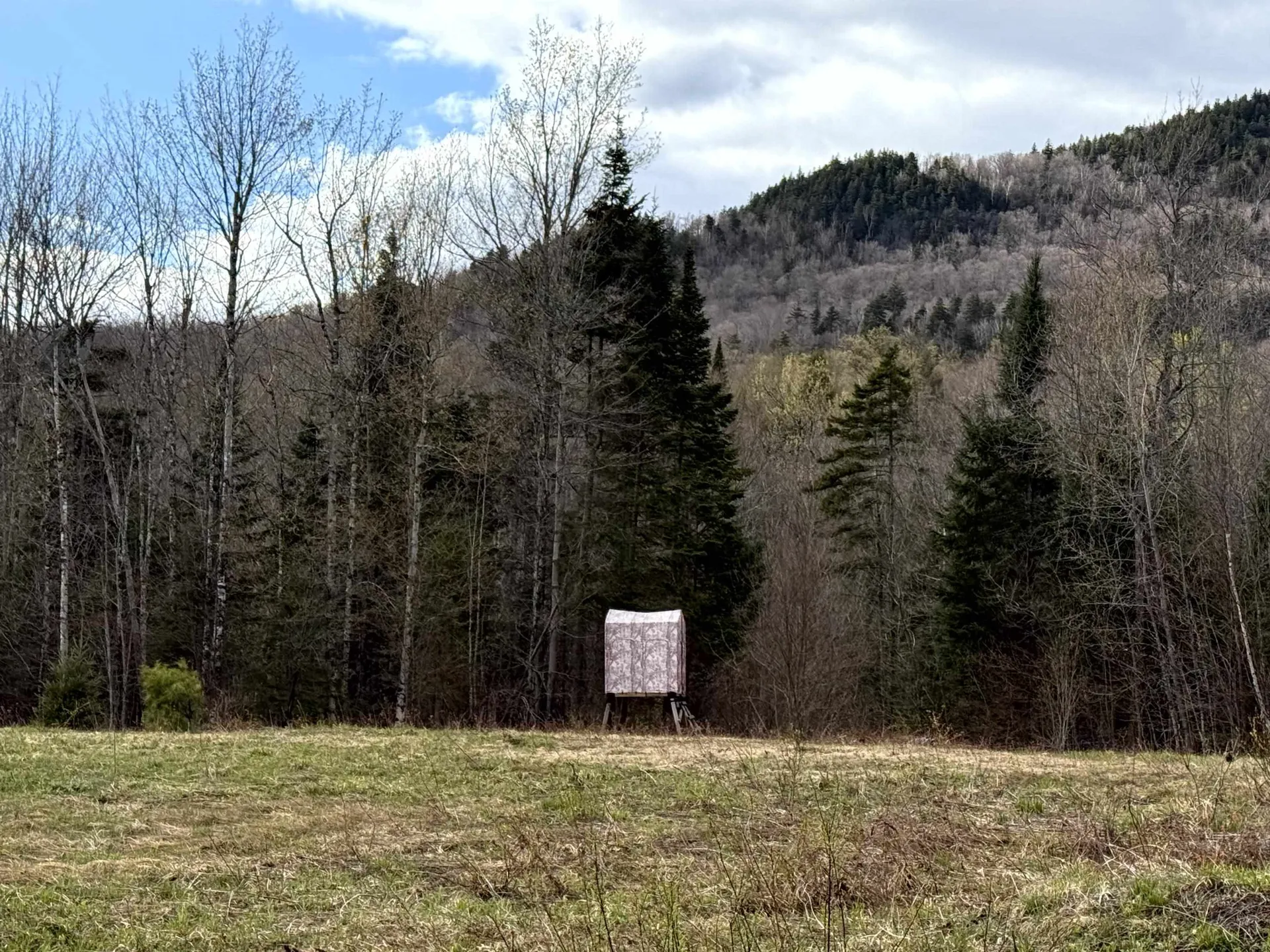 6539 Vt Route 100 Eden VT 05653