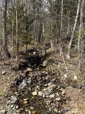 6539 Vt Route 100 Eden VT 05653