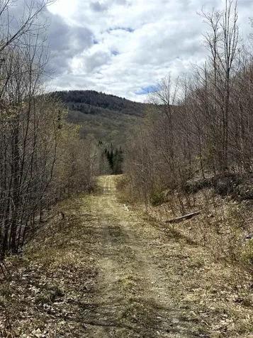 6539 Vt Route 100 Eden VT 05653