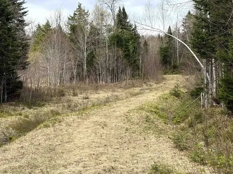 6539 Vt Route 100 Eden VT 05653
