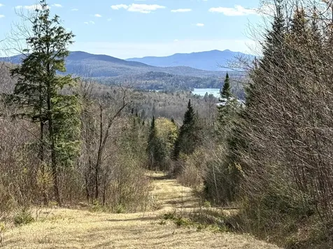 6539 Vt Route 100 Eden VT 05653