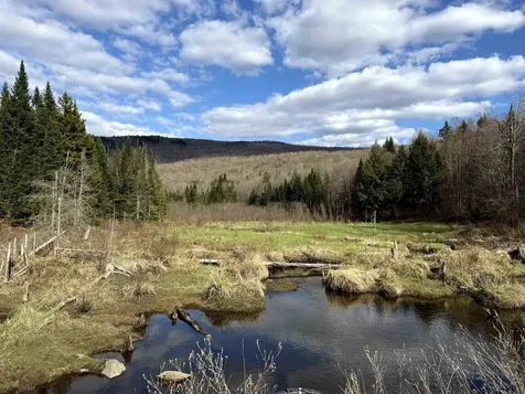 6539 Vt Route 100 Eden VT 05653